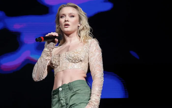 Zara Larsson Plastic Surgery