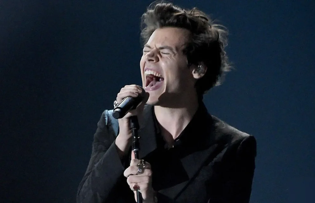 One Direction’s Darkest Day: Harry Styles’ Struggles Following Liam Payne’s Death