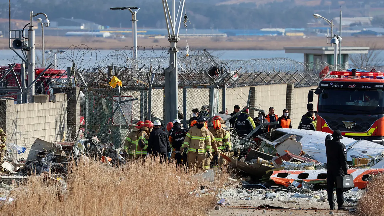 South Korea Plane Crash Cause: A Collision of Nature, Mechanics and Tragedy